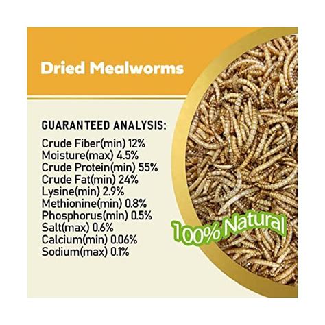 Adaman Dried Mealworms Lbs Natural Non Gmo High Protein