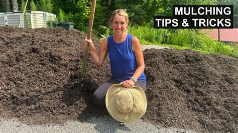 Tips And Tricks For How To Lay Mulch Like A Pro Youtube