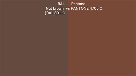 RAL Nut Brown RAL 8011 Vs Pantone 4705 C Side By Side Comparison