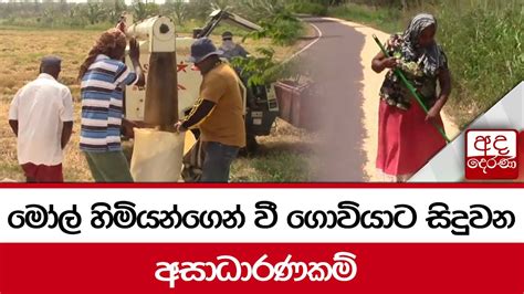 මෝල් හිමියන්ගෙන් වී ගොවියාට සිදුවන අසාධාරණකම් Youtube