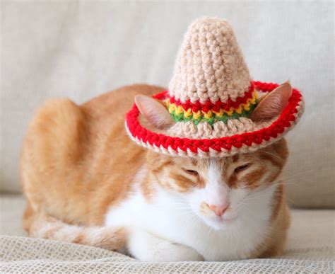 Cat Sombrero Crochet Pattern Crochet Instructions For Pet Etsy Uk