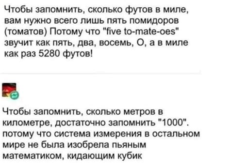Осталось запомнить 5 помидоров | Пикабу