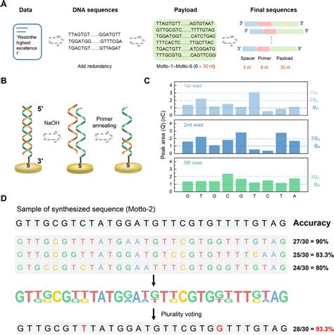 Data Storage Based On The Dna Synthesis And Sequencing A Schematic