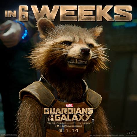 Rocket Raccoon - Guardians of the Galaxy Photo (37222608) - Fanpop