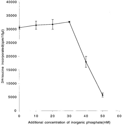 Effect of inorganic phosphate additions on protein synthesis. Standard ...