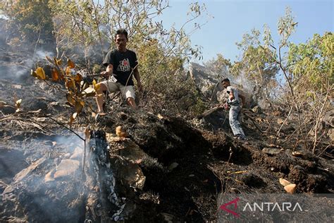 Titik Panas Di Sumatera Utara Terpantau Bmkg Antara News