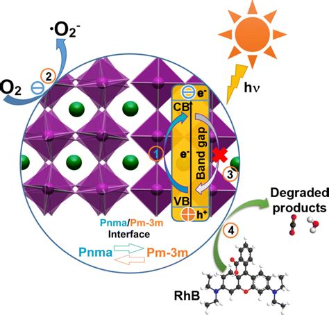 Proposed Reaction Mechanism For The Photocatalytic Degradation Of RhB