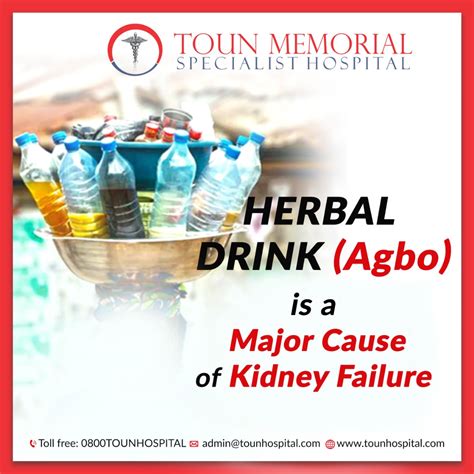 "Agbo" a leading cause of KIDNEY FAILURE - Toun Memorial Specialist ...