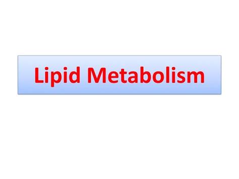 Ppt Lipid Metabolism Powerpoint Presentation Free Download Id2064911