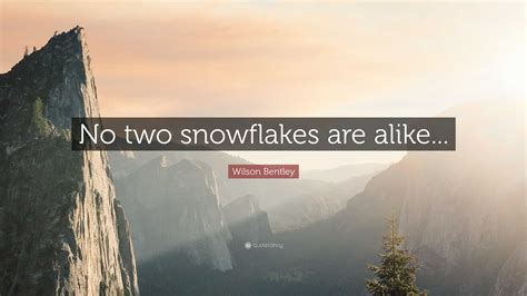 Wilson Bentley Quote No Two Snowflakes Are Alike”