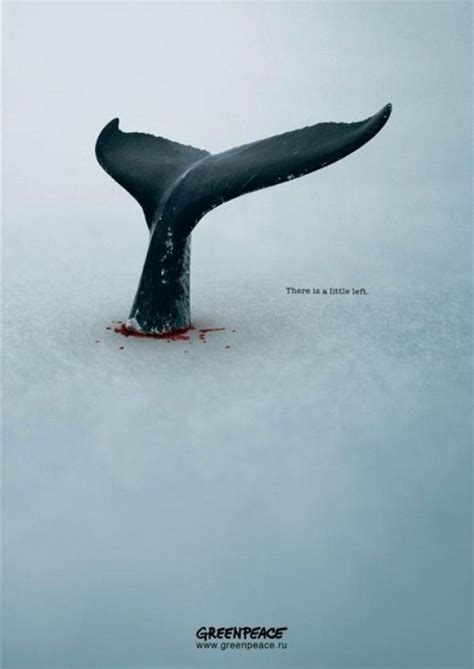 Los 15 anuncios más impactantes de Greenpeace Best ads Creative