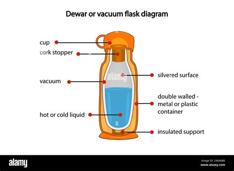 Dewar Or Vacuum Flask Diagram Isolated On White Background Cross