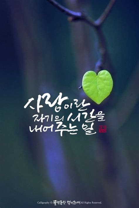 사랑 캘리그라피 멋진 명언 손글씨 종이 꽃 벽