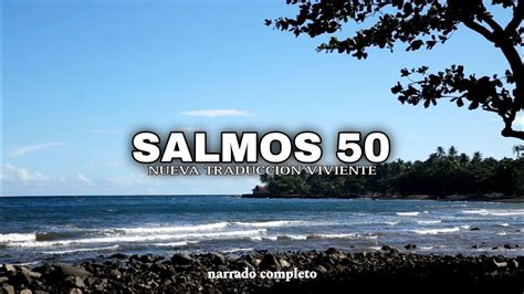 Salmos Narrado Completo Ntv Reflexconvicentearcilalope Biblia