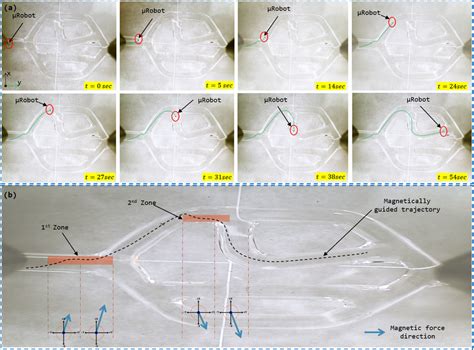 Microrobot Trajectory In The Vascular Vessel Subjected To The Control