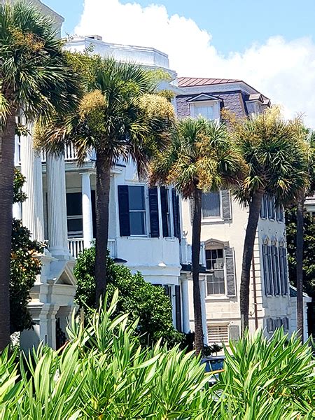 Our Local Perspective Reasons To Visit Charleston South Carolina