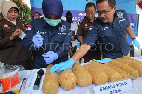 Pemusnahan Barang Bukti Narkotika Antara Foto