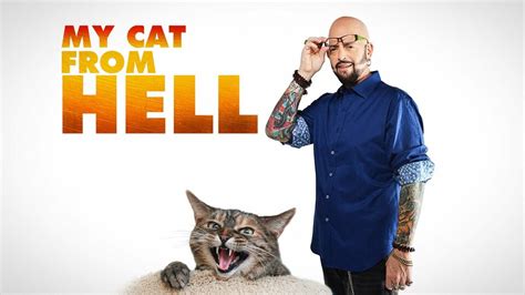 'My Cat From Hell': Jackson Galaxy Helps Eric Roberts Find Brooklyn the ...