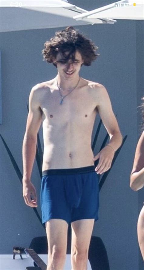 Pin On Timothe Chalamet