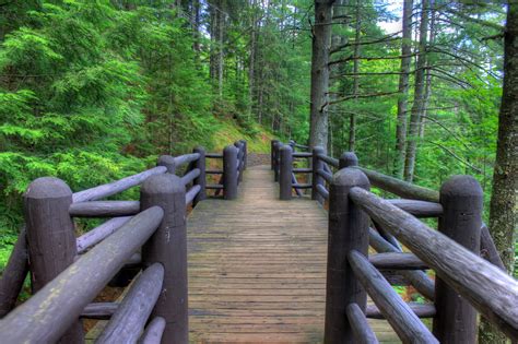 Path to the falls at Copper Falls State Park, Wisconsin image - Free ...