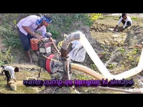 Aapko Dikhayenge Water Pump Se Tamatar Ki Sinchai Kaise Ki Jaati Hai