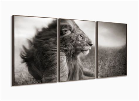 Loja Wall Frame Quadros Decorativos Para Todos Os Ambientes Quadro