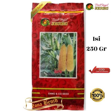 Bibit Jagung Manis Hibrida EXPO Isi 250 Gram Benih Jagung Manis F1