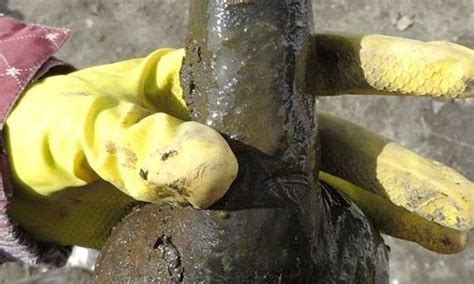Sex Toy From 18th Century Is Discovered In Poland By Archaeologists Daily Mail Online