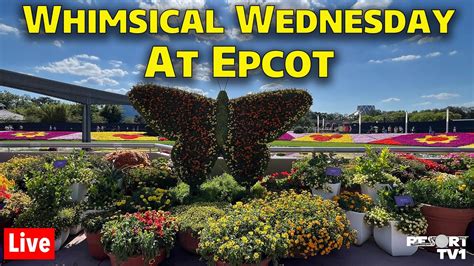 🔴live Whimsical Wednesday At Epcot Walt Disney World Live Stream 6