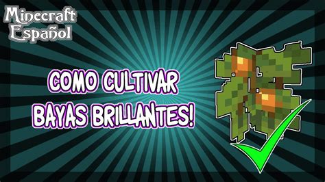 Minecraft Como Cultivar Bayas Brillantes 1 17 YouTube