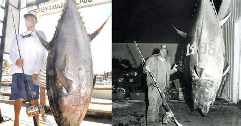 World Record Tuna Largest Bluefin And Yellowfin Ever Caught