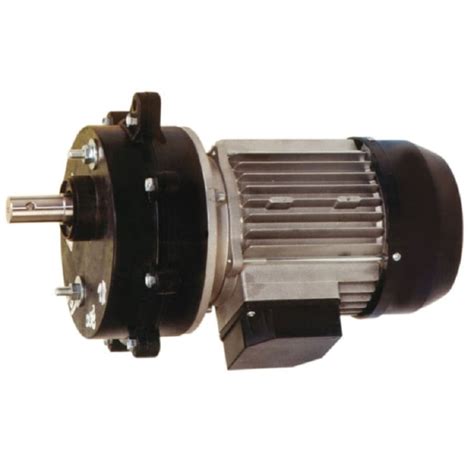 Motorreductor Fibra 1cv Trif 300 Rpm