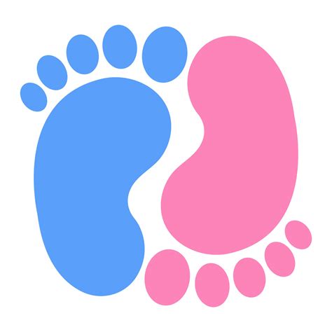 Illustration Of Pink And Blue Footprint Of Boy And Girl 25267902 Vector