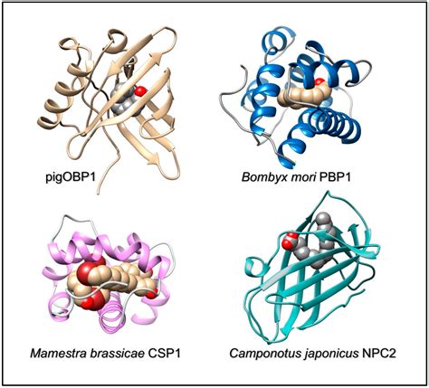 Sensors Free Full Text Odorant Binding Proteins As Sensing Elements