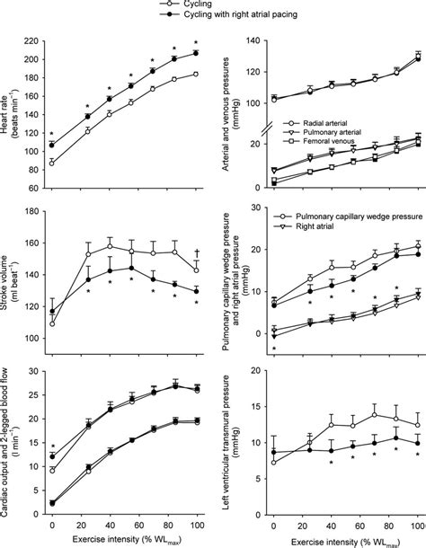 Heart Rate Stroke Volume Cardiac Output And Two Legged Blood Flow