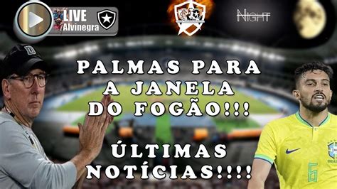 LIVE ALVINEGRA RAIZ PALMAS PARA A JANELA ALVINEGRA ÚLTIMAS NOTÍCIAS