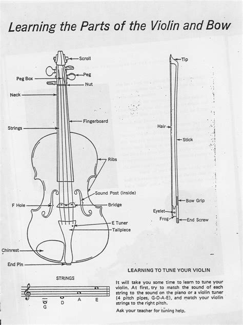 Violin & Bow Diagram