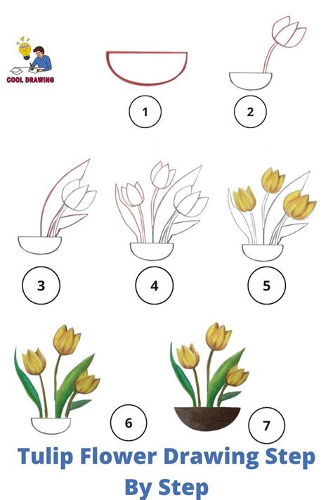 How To Draw Tulip Flower Step By Step Artofit