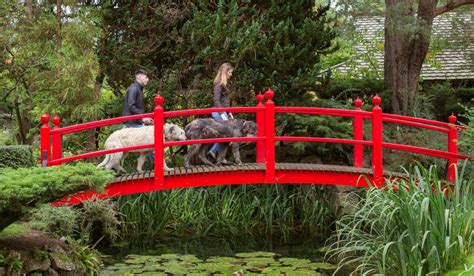 The Irish National Stud And Gardens Receives Global Award Ireland Live