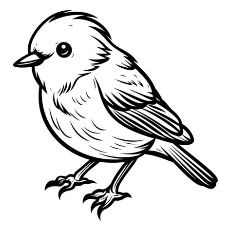 Premium Vector Titmouse Black And White Vector Illustration Isolated