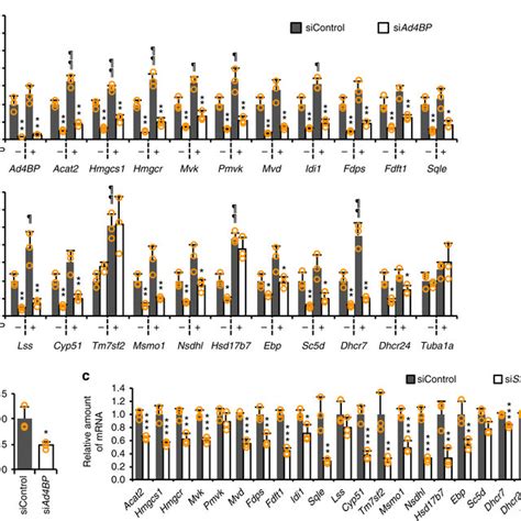 Cholesterogenic Gene Expression Affected By Ad4bp Sf 1 Knockdown A