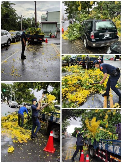 大里國興公園旁路樹因大雨倒塌阻交通 霧峰警速恢復順暢