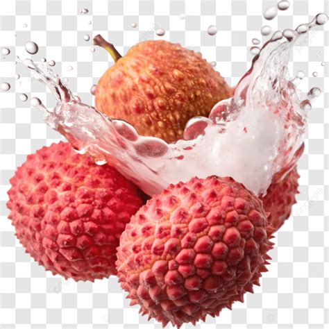 Lychee Splash Lychee Splash Hand Drawn Lychee PNG Transparent Image