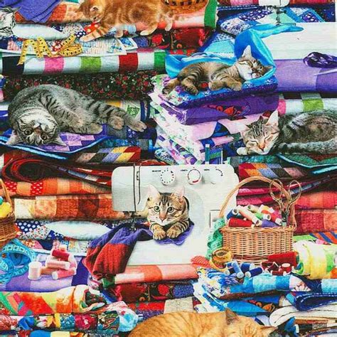 100 Cotton Digital Fabric Timeless Treasures Cats On Quilts Kitten