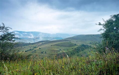 Premium Photo Landscape With Mountains And Fields With Trees Flowers