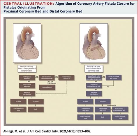 Coronary Artery Fistulas Indications Techniques Outcomes And