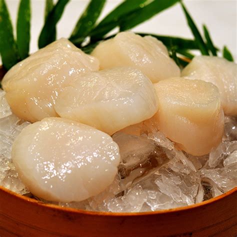 Hokkaido Scallops Sashimi Grade Large Catch Seafood