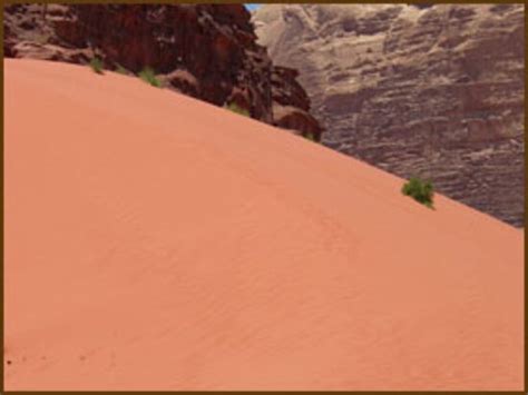 Desert Trekking Guide Camp Wadi Rum Village All You Need To Know