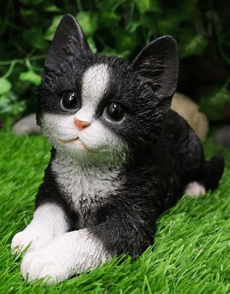 Lifelike Tuxedo Black And White Feline Kitten Cat Sitting On Its Belly