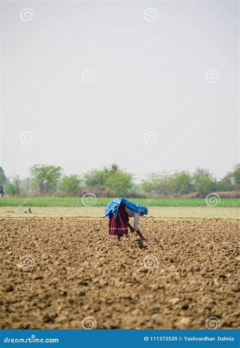 An Indian Village Woman Sowing Seeds And Working In Her Farm Editorial